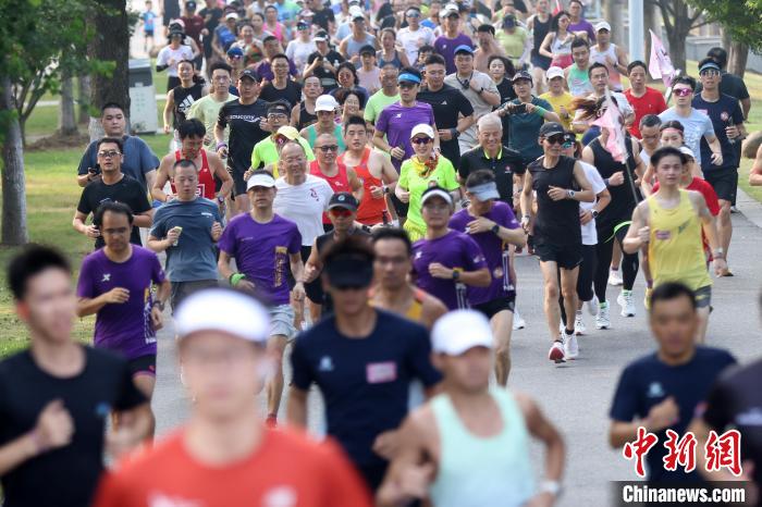 用脚步丈量城市：2024南京马拉松金秋鸣枪起跑与
